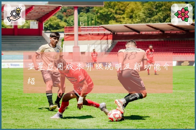 亚星应用版本升级说明及新功能介绍