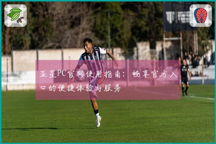 亚星PC官网使用指南：畅享官方入口的便捷体验与服务